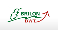 Logotip de Brilon BWT
